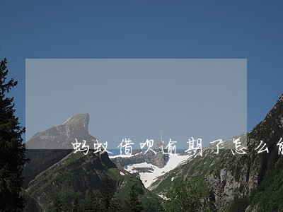 蚂蚁借呗逾期了怎么能开 蚂蚁借呗逾期了怎么能开