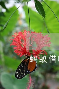 蚂蚁借呗逾期了还了还能借吗 蚂蚁借呗逾期了还了还能借吗