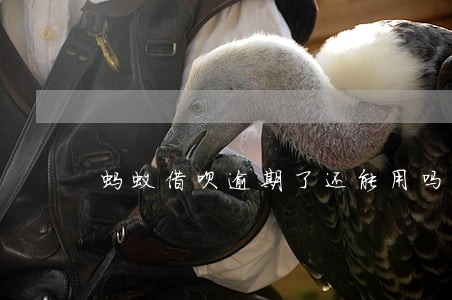蚂蚁借呗逾期了还能用吗 蚂蚁借呗逾期了还能用吗