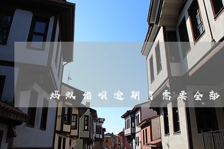 蚂蚁借呗逾期了需要全部还款吗