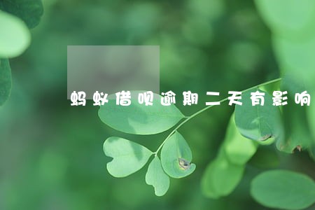 蚂蚁借呗逾期二天有影响吗 蚂蚁借呗逾期二天有影响吗