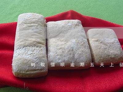 蚂蚁借呗逾期五天上征信吗