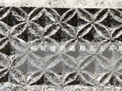 蚂蚁借呗逾期五天买房可以按揭吗 蚂蚁借呗逾期五天买房可以按揭吗