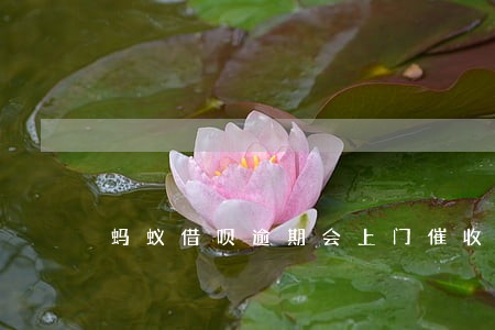 蚂蚁借呗逾期会上门催收嘛 蚂蚁借呗逾期会上门催收嘛