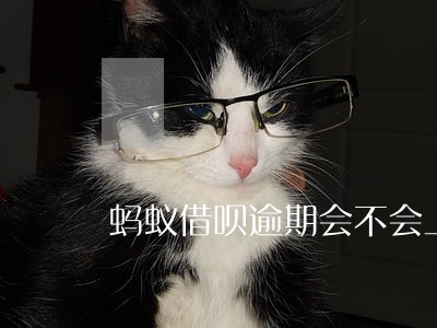 蚂蚁借呗逾期会不会上门 蚂蚁借呗逾期会不会上门