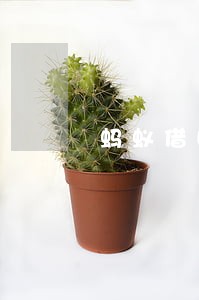 蚂蚁借呗逾期会冻结信用卡吗 蚂蚁借呗逾期会冻结信用卡吗