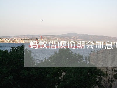 蚂蚁借呗逾期会加息吗 蚂蚁借呗逾期会加息吗