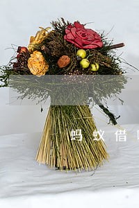 蚂蚁借呗逾期会被关闭吗 蚂蚁借呗逾期会被关闭吗
