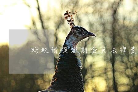 蚂蚁借呗逾期会负法律责任吗