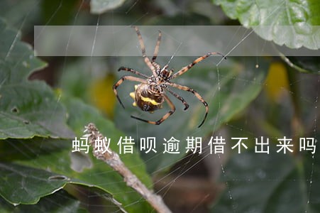蚂蚁借呗逾期借不出来吗 蚂蚁借呗逾期借不出来吗