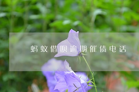 蚂蚁借呗逾期催债电话 蚂蚁借呗逾期催债电话