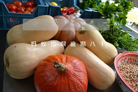 蚂蚁借呗逾期八千 蚂蚁借呗逾期八千