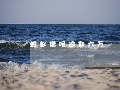 蚂蚁借呗逾期六万 蚂蚁借呗逾期六万