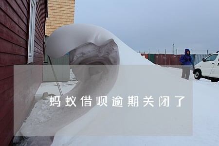 蚂蚁借呗逾期关闭了 蚂蚁借呗逾期关闭了