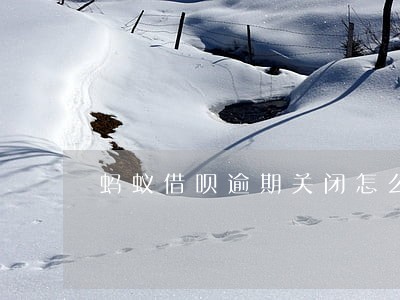 蚂蚁借呗逾期关闭怎么恢复 蚂蚁借呗逾期关闭怎么恢复
