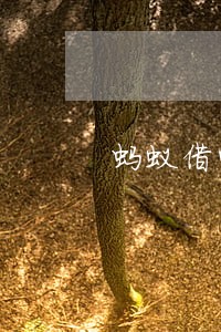 蚂蚁借呗逾期几个月了怎么办 蚂蚁借呗逾期几个月了怎么办