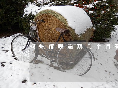蚂蚁借呗逾期几个月有事吗 蚂蚁借呗逾期几个月有事吗
