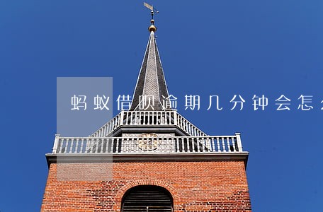 蚂蚁借呗逾期几分钟会怎么样