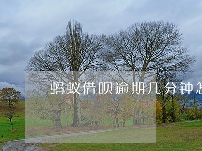 蚂蚁借呗逾期几分钟怎么办 蚂蚁借呗逾期几分钟怎么办