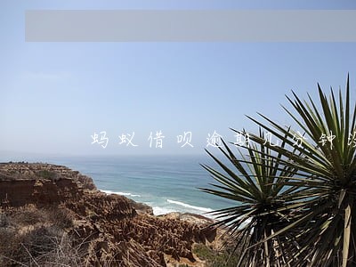 蚂蚁借呗逾期几分钟没事吧 蚂蚁借呗逾期几分钟没事吧