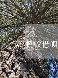 蚂蚁借呗逾期几块钱信用就不行了 蚂蚁借呗逾期几块钱信用就不行了