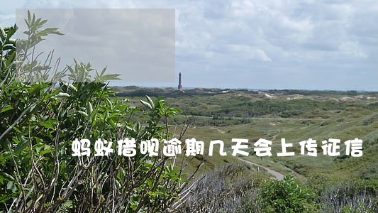 蚂蚁借呗逾期几天会上传征信 蚂蚁借呗逾期几天会上传征信