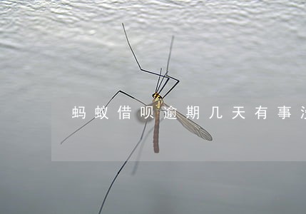 蚂蚁借呗逾期几天有事没 蚂蚁借呗逾期几天有事没