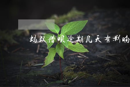 蚂蚁借呗逾期几天有影响没
