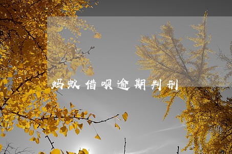 蚂蚁借呗逾期判刑 蚂蚁借呗逾期判刑