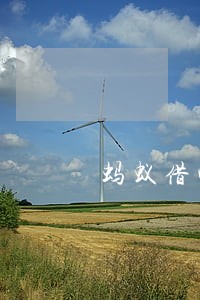 蚂蚁借呗逾期到每个月会还一些 蚂蚁借呗逾期到每个月会还一些