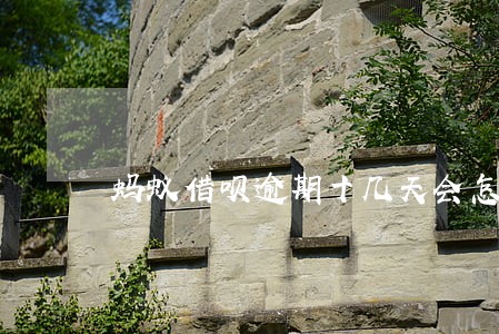 蚂蚁借呗逾期十几天会怎么样 蚂蚁借呗逾期十几天会怎么样