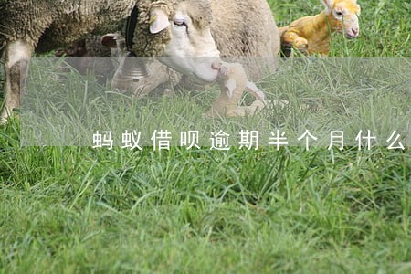 蚂蚁借呗逾期半个月什么后果 蚂蚁借呗逾期半个月什么后果