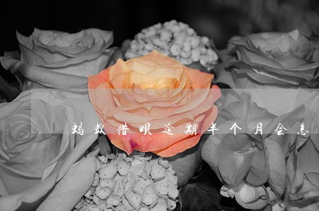 蚂蚁借呗逾期半个月会怎么样 蚂蚁借呗逾期半个月会怎么样
