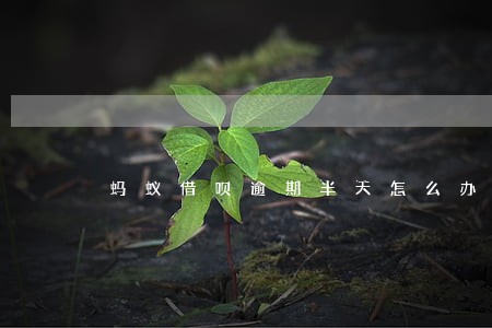 蚂蚁借呗逾期半天怎么办 蚂蚁借呗逾期半天怎么办
