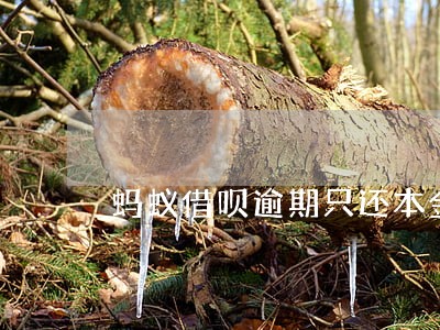 蚂蚁借呗逾期只还本金 蚂蚁借呗逾期只还本金