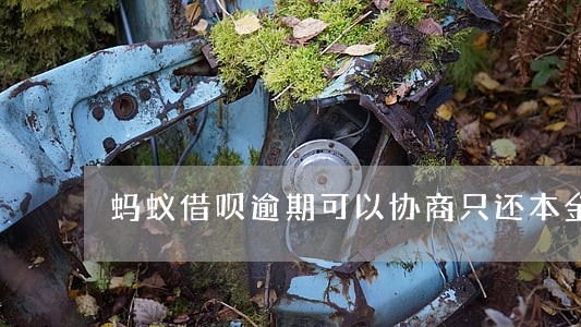 蚂蚁借呗逾期可以协商只还本金吗 蚂蚁借呗逾期可以协商只还本金吗