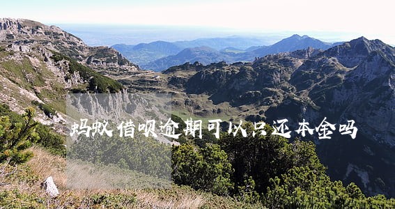 蚂蚁借呗逾期可以只还本金吗 蚂蚁借呗逾期可以只还本金吗