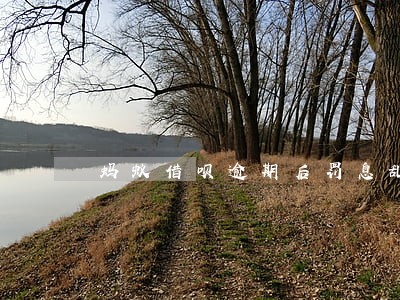 蚂蚁借呗逾期后罚息乱扣 蚂蚁借呗逾期后罚息乱扣