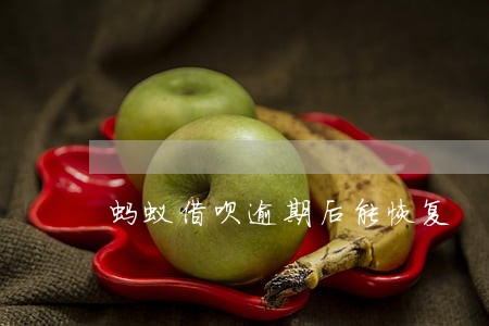 蚂蚁借呗逾期后能恢复 蚂蚁借呗逾期后能恢复
