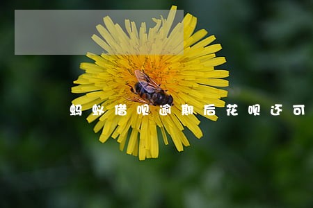蚂蚁借呗逾期后花呗还可以用吗 蚂蚁借呗逾期后花呗还可以用吗
