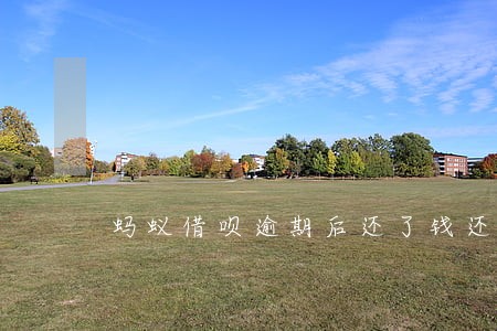 蚂蚁借呗逾期后还了钱还能用吗 蚂蚁借呗逾期后还了钱还能用吗
