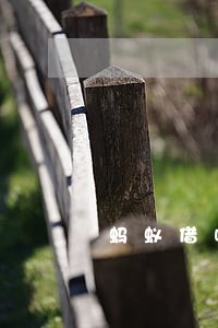 蚂蚁借呗逾期后还清还能再借吗 蚂蚁借呗逾期后还清还能再借吗