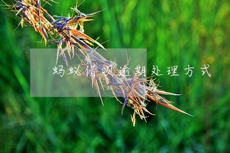 蚂蚁借呗逾期处理方式 蚂蚁借呗逾期处理方式
