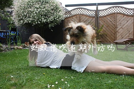 蚂蚁借呗逾期外访吗 蚂蚁借呗逾期外访吗