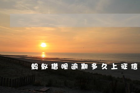 蚂蚁借呗逾期多久上征信啊 蚂蚁借呗逾期多久上征信啊