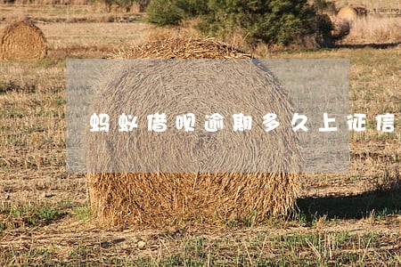蚂蚁借呗逾期多久上征信影响 蚂蚁借呗逾期多久上征信影响