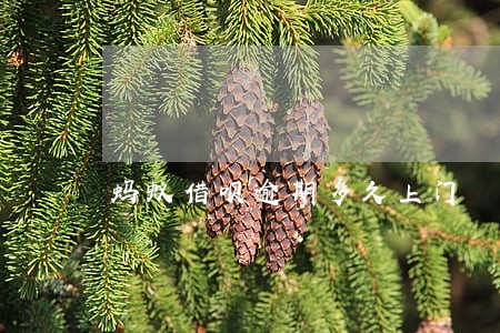 蚂蚁借呗逾期多久上门 蚂蚁借呗逾期多久上门