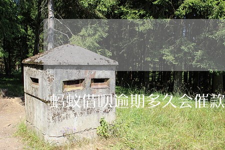 蚂蚁借呗逾期多久会催款 蚂蚁借呗逾期多久会催款