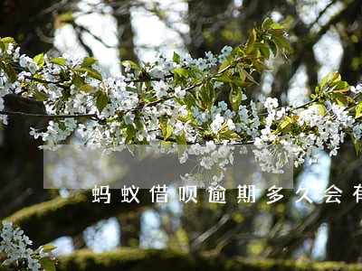 蚂蚁借呗逾期多久会有再分期 蚂蚁借呗逾期多久会有再分期