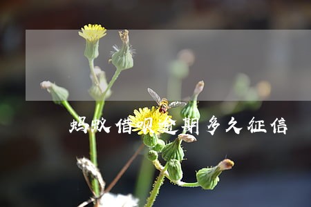 蚂蚁借呗逾期多久征信 蚂蚁借呗逾期多久征信